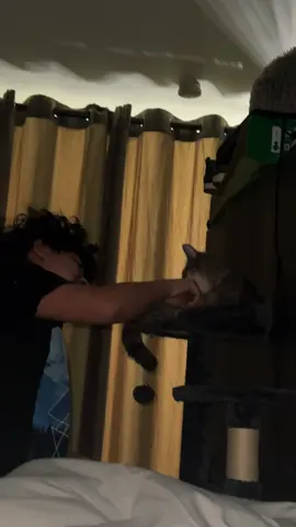 #CapCut #harensolterokis🖤🍒👑 #elizabeth092487 #yajaira_monje #➕❤️💬↩️ 