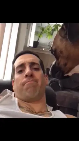 #funny #voiceover #talking #pet #fyp 