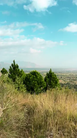 Repost 🫶🍁 #kurram_agency #asthetic #foryou #peace #viral 