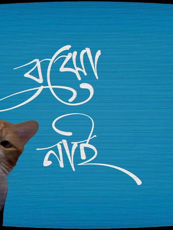 @s.r. rubel তোমার কপালে বউ নাই🫣#trending #foryoupage #foryou #fyp #LyricsLines1 