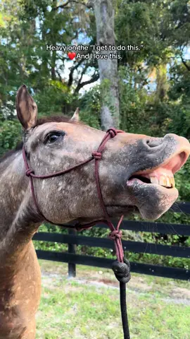 It’s easy to get caught up in the work and forget the ‘why.’ Sometimes you have to go hit the trails and do something fun to remember what it’s all about. #enjoytheride #horseriding #trailriding #ocalahorses #buckskinmares #marelover #betweentheears 