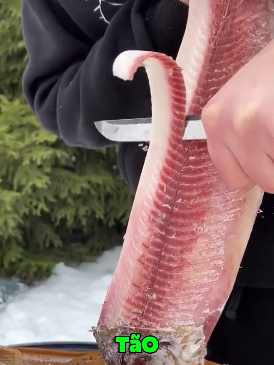 Como é a comida típica do lugar mais frio do mundo? #frio #curiosidades #comida #russia 