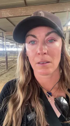 THIS IS IT FOR THEM. READ THAT AGAIN! They need help or they are gone. we literally have a match today that has been running since yesterday up to $50,000 which means it’s doubled which means not only were we able to rescue 24 horses yesterday but we are able to help more horses NOW, TODAY.  Please consider donating to help us help them⚔️ DONATION link in bio.#rescue #adopt #adoptdontshop 