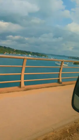 Trip trip trip reggae dip 🎵🎶#fyp #winnyn245 #burningspear 