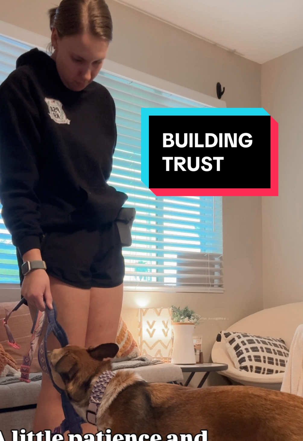 Trust with your dog takes time to build but unfortunately can be damaged in seconds. Every time you put on your dog’s collar or harness, you have a chance to reinforce trust!  Strong relationships are built in the small moments. Take a pause, show patience, and celebrate every little win. By taking a few extra seconds with your dog during moments like these, you’re teaching trust, patience, and cooperation 🤍  #dogtrainingtips #confidencebuildingfordogs #rescuedog #dogmom #dogtrainingtips  