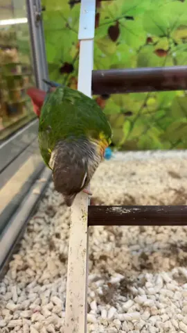 #parati #viral #viral2025viralvideo🔥😘🔥 