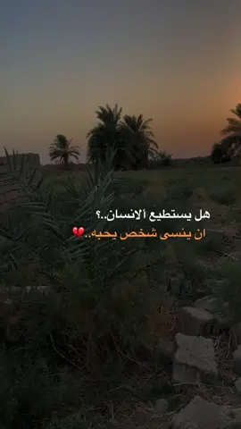 #هل ينسى المحب من احب.💔#عباراتكم💔💔؟ #تصويري_احترافي_الاجواء👌🏻🕊😴 #متابعه_ولايك_واكسبلور_احبكم #تصويري📸اكسبلوور 