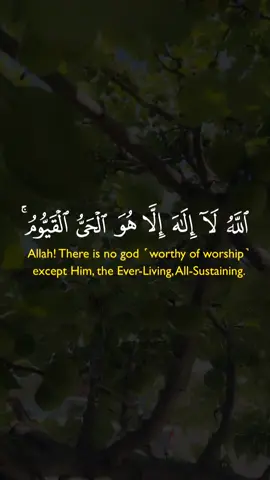 Recite Quran💚💚 #quranrecitation #quran_alkarim  #growmyaccount #muhammad#CapCut 