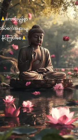 တစ်နေ့တာပင်ပန်းသမျှကောင်းမွန်စွာအိပ်စက်အနားယူနိုင်ကြပါစေ🙏🙏🙏###စေတနာကောင်းရင်ကံကောင်းမည် 