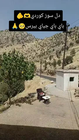 #tiktok #dhok #zaxo #explor #arbil 👋👋🥺🙏🙏