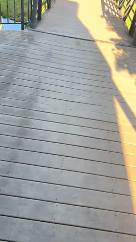 #fred #snappingturtle #turtle #heyheyqueen #share 