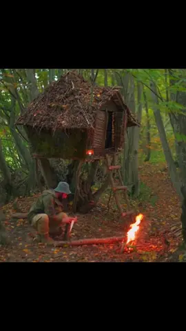 Building a SURVIVAL Stilt House in the Forest for Bushcraft Adventures#build #shelter #forest #survival #camping 