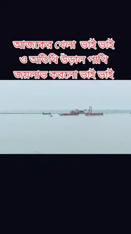 আজকের খেলায় অতিথি উড়াল পাখি কে হারে জয়লাভ করলো ভাই ভাই ফাইনালে উঠলো ভাই ভাই কালকে কিন্তু অনেক সুন্দর খেলা আছে আশাকরি কালকে ফাইনাল খেলা দেখতে আসিবেন