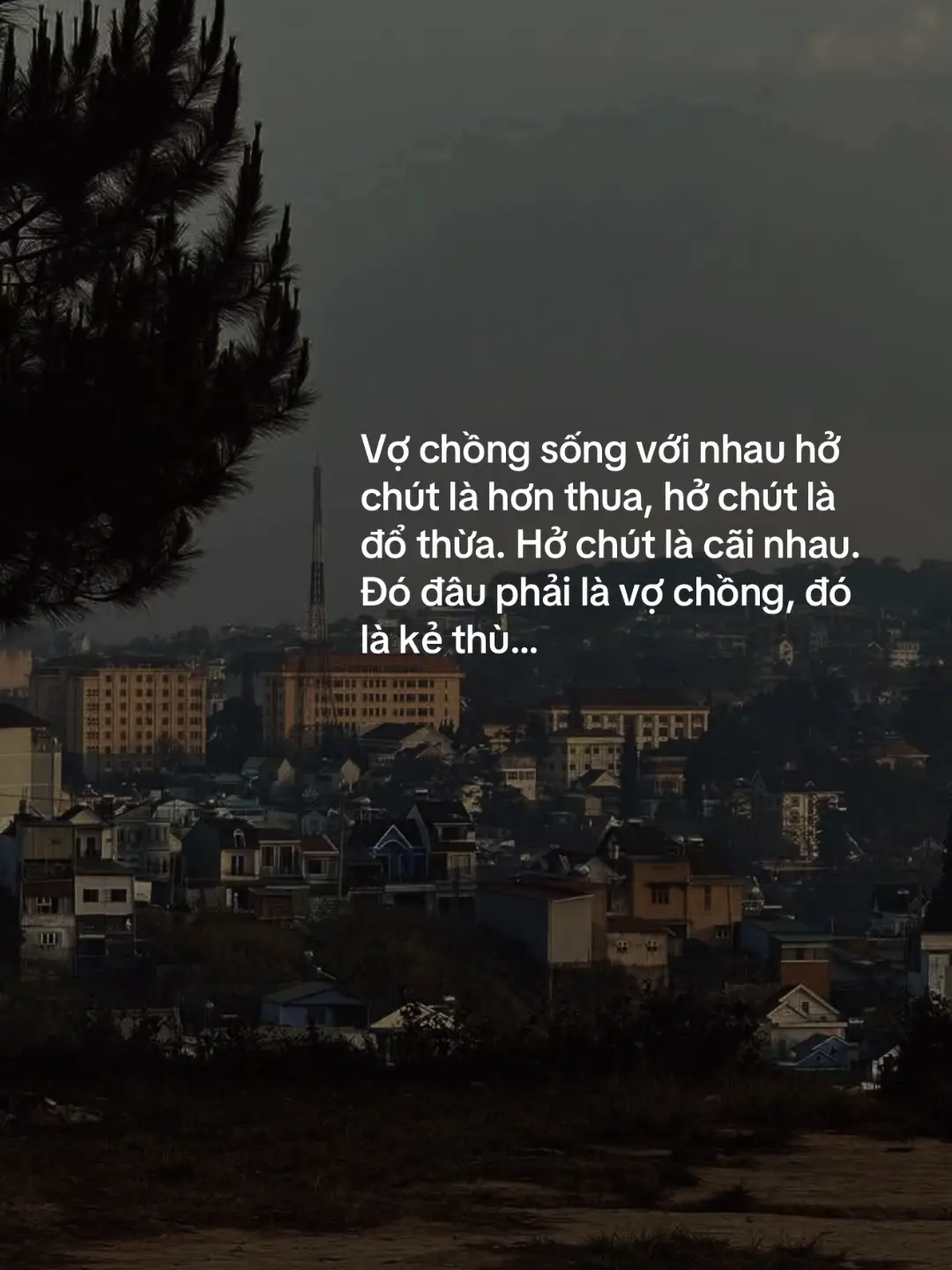 Vợ chồng sống với nhau hở chút là hơn thua, hở chút là đổ thừa. Hở chút là cãi nhau. Đó đâu phải là vợ chồng, đó là kẻ thù…#xuhuongtiktok #xuhướng #honnhan 