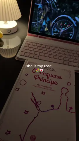 O Pequeno Príncipe. 💌 #tiktokshop #tiktok #tiktokviral #opequenoprincipe #livros 
