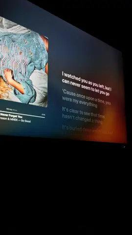 Never Forget You- Zara Larsson. #macbook #lyrics #music #songsthatgohard #tubularsoundz 