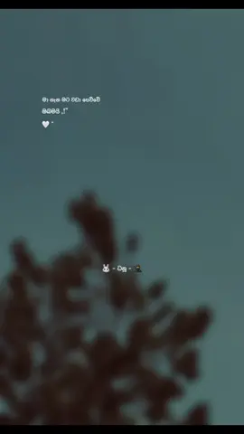 Repost ! 🤍🖇️🫂 #viralvideo #foryoupageofficiall #sinhala #quotes #CapCut #viral #සිසියා #ftypシ #onemillionaudition #trending 