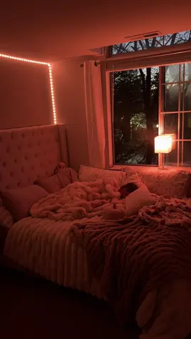 fall evenings spent in bed >>