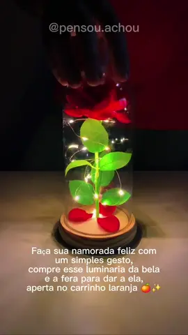 Rosa Luminária Perfeita #casal #presenteparanamorado #belaeafera #bella #rosa 