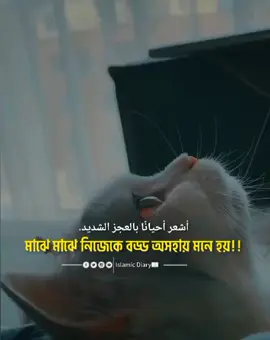 মাঝে মাঝে নিজেকে বড্ড অসহায় লাগে 💔🥀