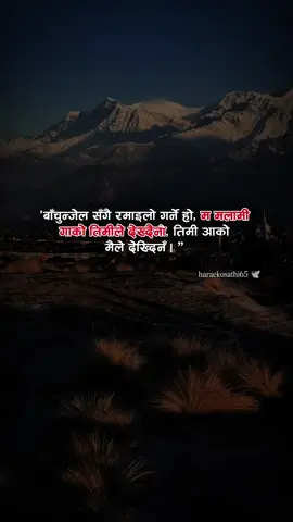 “बाँचुन्जेल सँगै रमाइलो गर्ने हो, म मलामी गाको तिमीले देख्दैनौ, तिमी आको मैले देख्दिनँ।” 💔