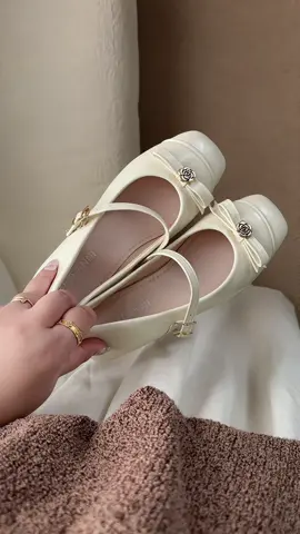Giày búp bê hoa trà#ngohongdiary #giaybupbenu #meybanni #giaymeybanni #viral 