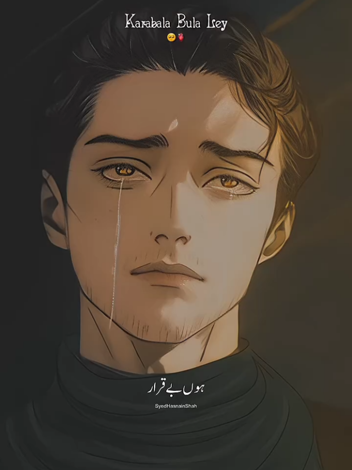 Moula (as) Karabala Bula Lay 🥺💔 Noha Farhan Ali Waris Noha Status  #viral #farhanaliwaris   #fypシ  #hussainimedia  #nohastatus   