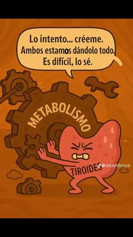 El mundo del tiroides, metabolismo y más 😭🥹 #tiroides #viraltiktok #animacion #fypp #paratiiiiiiiiiiiiiiiiiiiiiiiiiiiiiii 