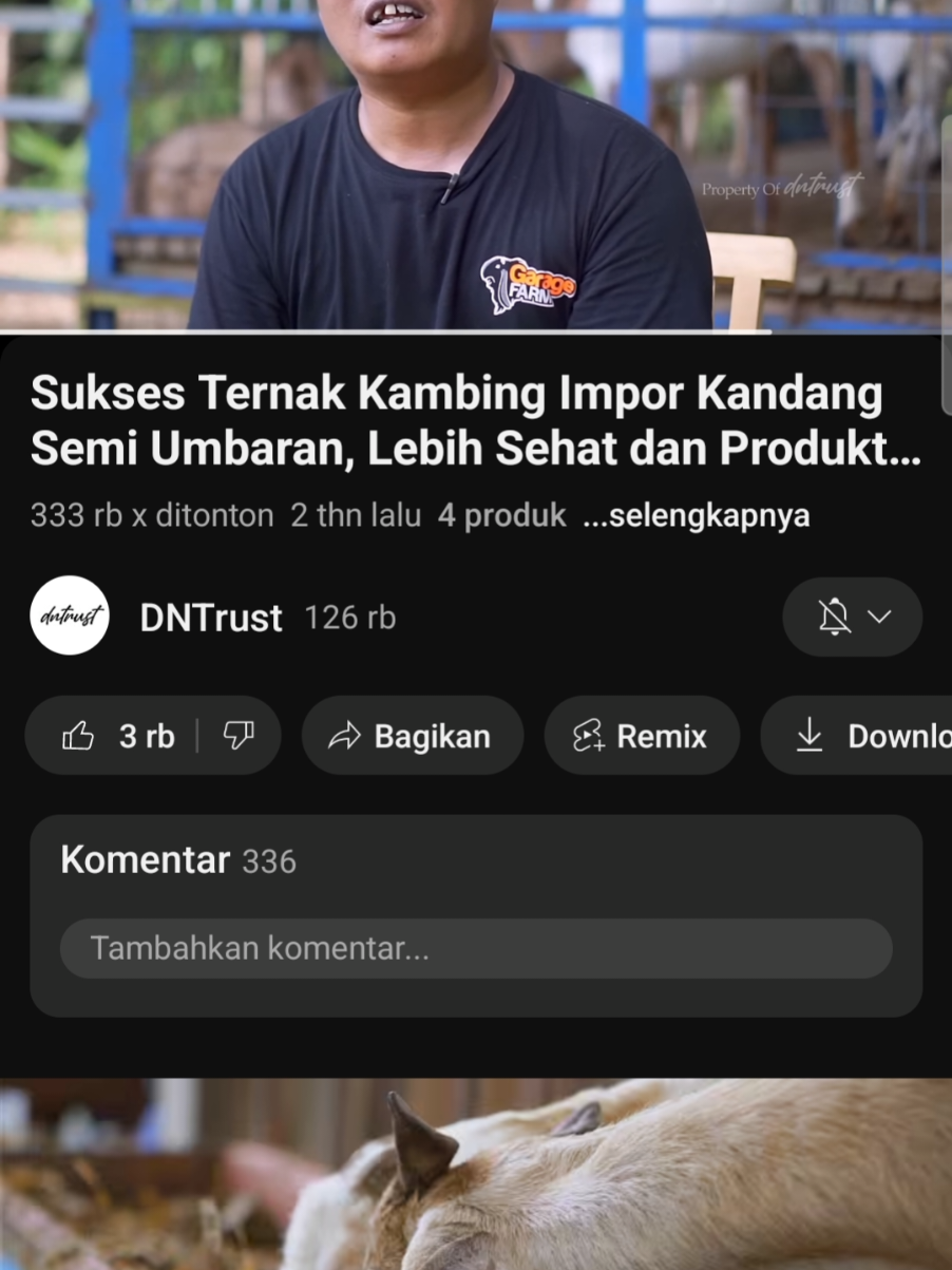 motivasi#ternakkambing #trending #fyp #viral #foryoupage 