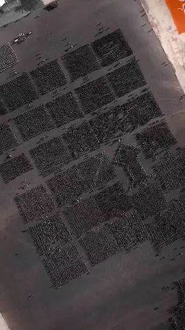 يبـدو وأنـه وجـدتوا الامـان هنـا !؟🥺