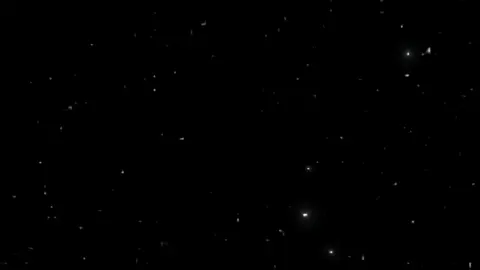 كمان فيديو لعيد ميلاد😍🎉❤️ ايوا النهارده يوم مش عادي🎉😍😆 🥳🥳🥳🥳😍😍😍😍😍🥳🥳🥳🥳 . . . . . . . . . . . . . #مهرجنات #مشاهدات_تيك_توك #اغاني #vairal #تصميم_فيديوهات🎶🎤🎬 