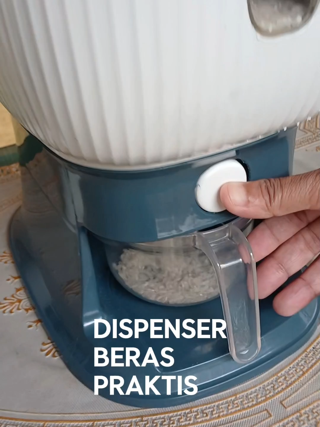 Jangan sembarangan kalo naro beras, banyak serangga nakal. #dispenserberas #tempatberas #tempatsimpanberas