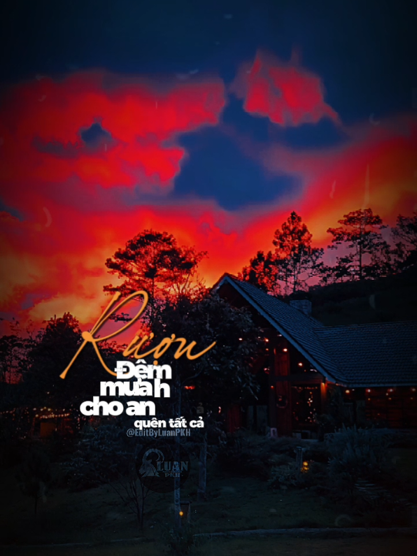 rượu đêm mưa cho anh quên tất cả...#CapCut  #nhachaymoingay #tiktok #xuhuong #sky9x 