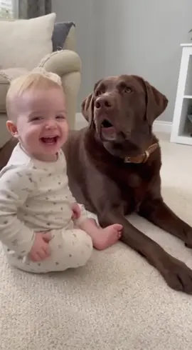 Woff-woff ! #cutebaby #dog #toddlersoftiktok #funnytoddler 