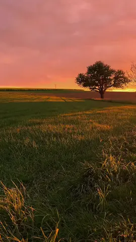 Faded memories #dreamcore #dream #liminalspaces #sunset #fyp 