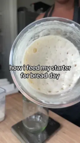 these days, i love using a blend of @King Arthur Baking rye flour and bread flour in my levains. then i place it into my @Brod & Taylor proofer set to 80°F and is always ready in around 5 hours when fed at a 1:2:2(ish) ratio.  #sourdoughbread #sourdoughbaker #sourdough #sourdoughstarter #tutorial 