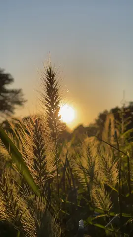 #viraltiktok #viralvideo #onthisday #jesus #God 