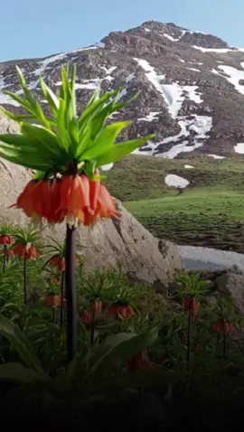 #CapCut #quran_kareem #تەفسیری_قورئان #اللهم_صل_على_محمد_وآل_محمد #fyy 