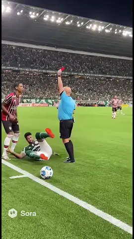 CBF confesse que palmeiras ganhou 15 pontos com erros de arbitragens #futebol #futebolbrasileiro #palmeiras 