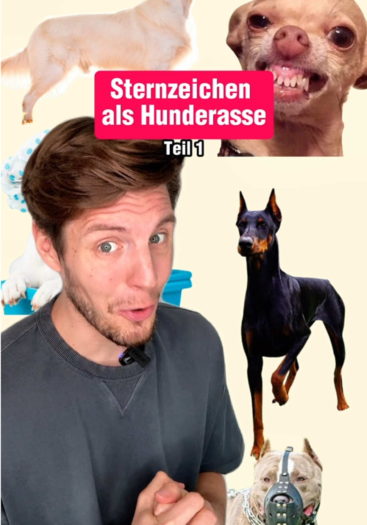 DAS ENDE 🤣🙏🏼 Passt es? #comedy #hunde #sternzeichen 