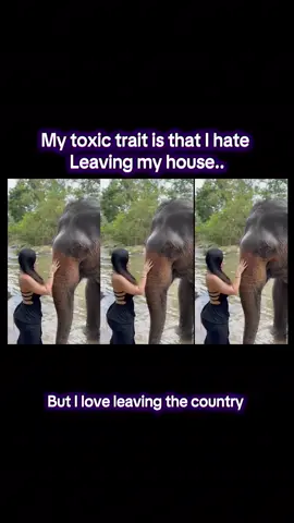 🤷🏻‍♀️🤷🏻‍♀️🤷🏻‍♀️ #travel #traveltiktok #Lifestyle #asia #toxictrait 