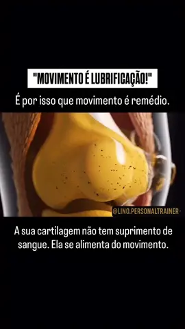 🔑 Movimento é remédio! Você já ouviu a frase: “Motion is lotion”? Pois é… 👀 👉 O movimento nutre suas articulações. 🦴 A cartilagem não tem suprimento de sangue, então ela se alimenta do movimento. Sem movimento ➝ rigidez e dor. Com movimento ➝ lubrificação, proteção e longevidade. 💡 Ou seja: cada treino, cada caminhada, cada alongamento é como uma “injeção de vida” para suas articulações. ⚡ Mova-se todos os dias — seu corpo vai agradecer hoje e no futuro. ⸻ ✨ Salve este post para lembrar que exercício é medicina. 👉 Compartilhe com alguém que precisa levantar do sofá AGORA! ⸻ Hashtags sugeridas: #MovimentoÉVida #CiênciaDoTreino #TreineComInteligência #LongevidadeAtiva #SaúdeArticular     