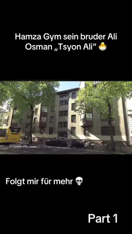 #spiegeltv #fy #foryou #plusweg #viral #eier #eier🐣 