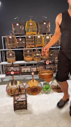 Sắm ngay lồng khuyên, hút mật nan hắc trúc! Tặng full phụ kiện đồng, cầu cóng bát tiên cực đẹp, mua là dùng ngay!