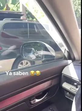 Vieja pero saco leche 😂😂😂😂😂#real #usa🇺🇸 #viraltiktok #nuevayork 