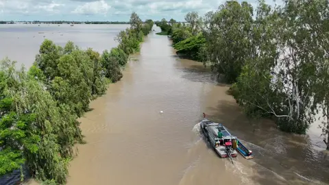 nước lũ dâng cao đồng Hồng Ngự 