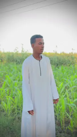 صعيدي والقمه فوق راجل شهامه ولي حقوق#اسوان_الاقصر_قنا_سوهاج_اسيوط_السودان #اعاده_نشر🔁 #مليون_مشاهدة❤ #تصميم_فيديوهات🎶🎤🎬 