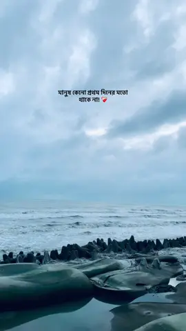 মানুষ কেনো প্রথম দিনের মতো থাকে না! ❤️‍🩹#foryoupage #viralvideo #shomudro#viralvideo #foryoupage❤️❤️ 