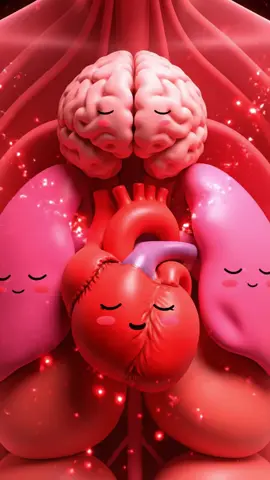 Tại sao stress gây hại cho tim mạch? Khi bạn stress, não sẽ nghĩ rằng cơ thể đang gặp nguy hiểm. Ngay lập tức, nó ra lệnh tiết ra hormone adrenalin và cortisol, hai chất giúp bạn “chiến đấu hoặc bỏ chạy”. Tim bắt đầu đập nhanh hơn, huyết áp tăng, và mạch máu co lại để bơm máu mạnh hơn. Nếu điều này chỉ xảy ra trong vài phút, thì không sao cả. Nhưng nếu bạn căng thẳng mỗi ngày, tim sẽ phải làm việc quá sức, mạch máu dễ tổn thương, nguy cơ cao huyết áp, xơ vữa, đột quỵ đều tăng lên. #suckhoe #timmach #khoahoc #giaoducsuckhoe 