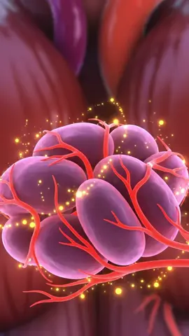 Stress destroys muscle growth — here’s how cortisol secretly eats your gains. 🧠💪 #Stress #Cortisol #MuscleGrowth #FitnessTips #GymTok 